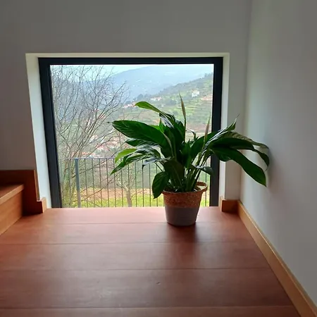 Quinta Do Tojo Farm stay