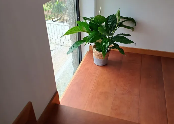 Quinta Do Tojo * Alufinha