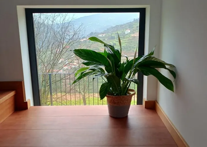 Quinta Do Tojo Alloggio per agriturismo